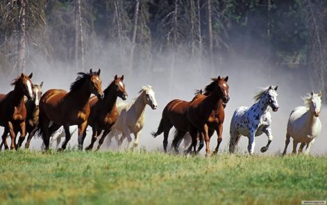 lo-074.jpg lo-074.jpg