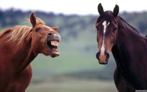 lo-076.jpg lo-076.jpg