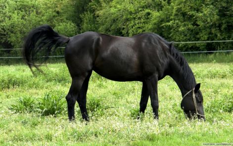 lo-119.jpg lo-119.jpg