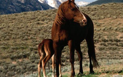 lo-209.jpg lo-209.jpg