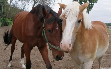 lo-226.jpg lo-226.jpg